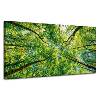 Leinwandgemälde Bäume Blätter Natur Wald Frühling 120x60 cm