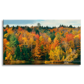 Leinwandgemälde Bunte Baumblätter Herbst Natur 120x80 cm
