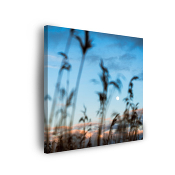Bild auf Leinwand Nature Glade Meadow Sunrise 90x90