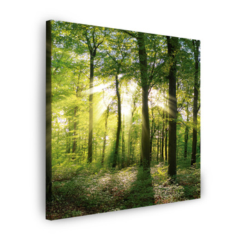Leinwandgemälde Sonne, Wald, Bäume, Lichtstrahlen, 90X90 cm