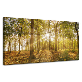 Leinwandgemälde Sonne zwischen Bäumen im Wald 120x60 cm