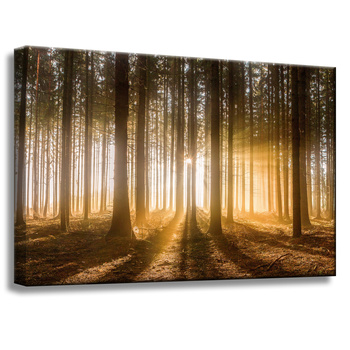 Leinwandgemälde Sonnenstrahlen Waldbäume 60x40 cm