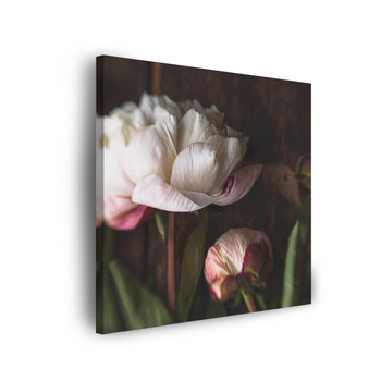 Leinwandgemälde Weiße Blume Natur Vintage Retro 90x90