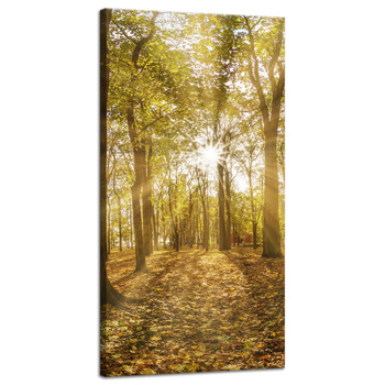Leinwandgemälde Sonne zwischen Bäumen im Wald 40x80 cm