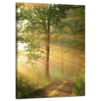 Leinwandgemälde Sonnenlicht Waldweg Natur 50x70 cm