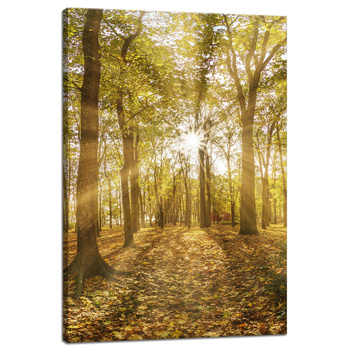 Leinwandgemälde Sonne zwischen Bäumen im Wald 40x60 cm