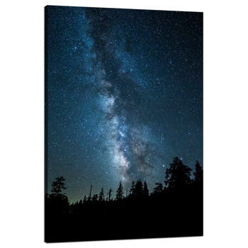 Leinwandgemälde Space Night Forest Nebula 80x120