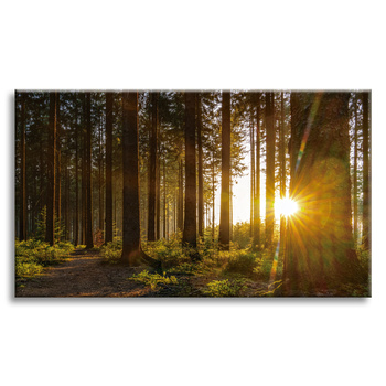 Leinwandgemälde Sonnenuntergang Wald Bäume Natur 120x80 cm