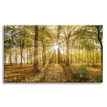 Leinwandgemälde Sonne zwischen Bäumen im Wald 120x80 cm
