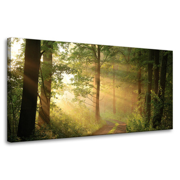 Leinwandgemälde Sonnenlicht Waldweg Natur 80x40 cm