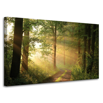 Leinwandgemälde Sonnenlicht Waldweg Natur 100x60 cm