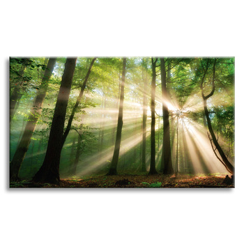 Leinwandgemälde Sonne im Wald Bäume Natur 70x50 cm