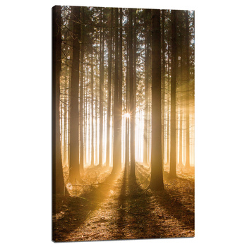 Leinwandgemälde Sonne im Wald Baumlicht 60x100 cm