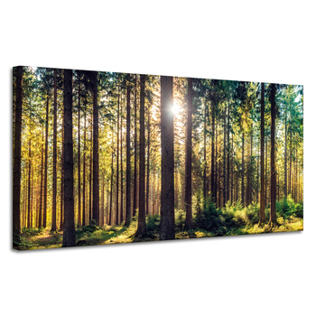 Leinwanddruck Wald Sonne Bäume Frühlingsmorgen 120x60 cm