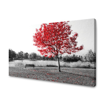 Bild auf Leinwand Grau-Rot-Blätter-Kontrast 120x70 cm