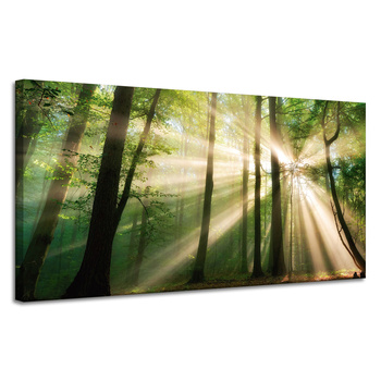 Leinwandgemälde Sonne im Wald Bäume Natur 120x60 cm