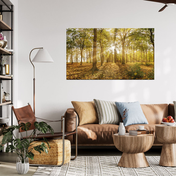 Leinwandgemälde Sonne zwischen Bäumen im Wald 120x70 cm