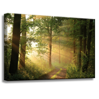Leinwandgemälde Sonnenlicht Waldweg Natur 60x40 cm