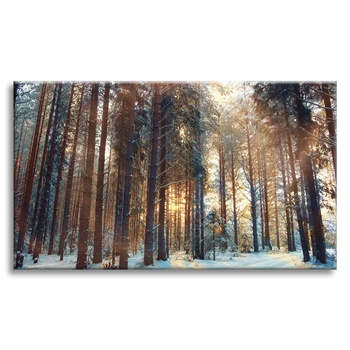 Leinwanddruck Wald Winter Schneewittchen Natur 120x80 cm
