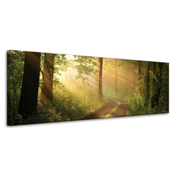 Leinwandgemälde Sonnenlicht Waldweg Natur 120x40 cm