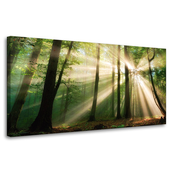 Leinwandgemälde Sonne im Wald Bäume Natur 80x40 cm