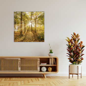 Leinwandgemälde Sonne zwischen Bäumen im Wald 90X90 cm