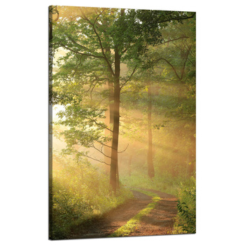 Leinwandgemälde Sonnenlicht Waldweg Natur 50x80 cm
