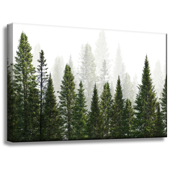 Leinwandgemälde Regenwald Natur Bäume 60x40 cm