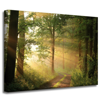 Leinwandgemälde Sonnenlicht Waldweg Natur 40x30 cm