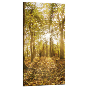 Leinwandgemälde Sonne zwischen Bäumen im Wald 60x120 cm