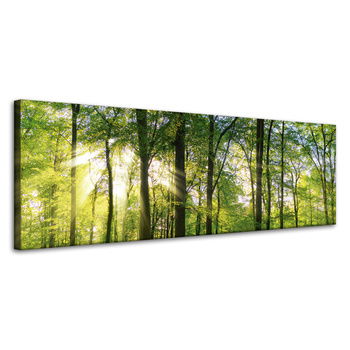 Leinwanddruck Sonne, Wald, Bäume, Lichtstrahlen, 120x40 cm