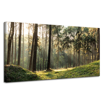 Leinwanddruck Wald Bäume Sonne Natur 120x60 cm