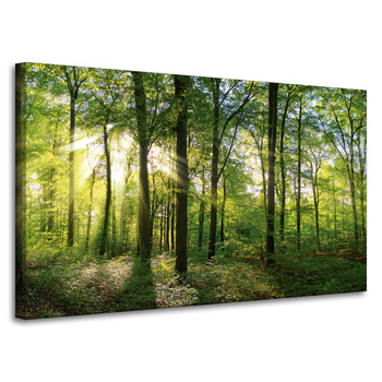 Leinwanddruck Sonne, Wald, Bäume, Lichtstrahlen, 100x60 cm