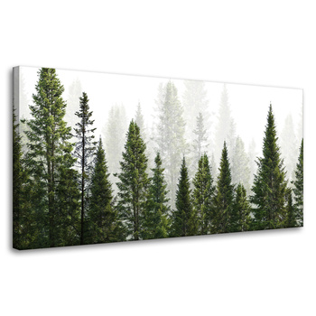 Leinwandgemälde Regenwald Natur Bäume 80x40 cm