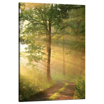 Leinwandgemälde Sonnenlicht Waldweg Natur 80x120 cm
