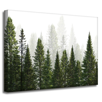 Leinwandgemälde Regenwald Natur Bäume 40x30 cm