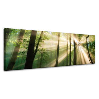 Leinwandgemälde Sonne im Wald Bäume Natur 120x40 cm