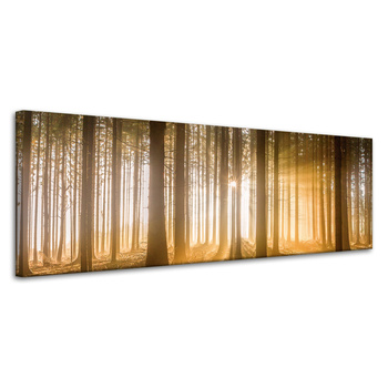 Leinwandgemälde Sonne im Wald Baumlicht 120x40 cm