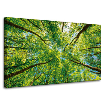 Leinwandgemälde Bäume Blätter Natur Wald Frühling 100x60 cm