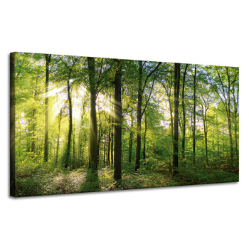 Leinwanddruck Sonne, Wald, Bäume, Lichtstrahlen, 120x60 cm
