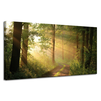 Leinwandgemälde Sonnenlicht Waldweg Natur 120x60 cm