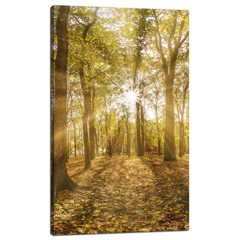 Leinwandgemälde Sonne zwischen Bäumen im Wald 60x100 cm