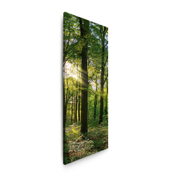 Leinwanddruck Sonne, Wald, Bäume, Lichtstrahlen, 40x120 cm