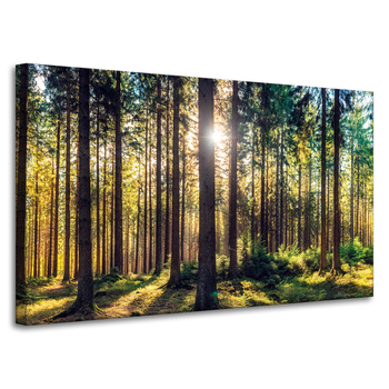 Leinwanddruck Wald Sonne Bäume Frühlingsmorgen 100x60 cm