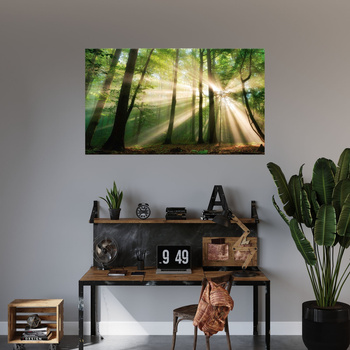 Leinwandgemälde Sonne im Wald Bäume Natur 120x70 cm