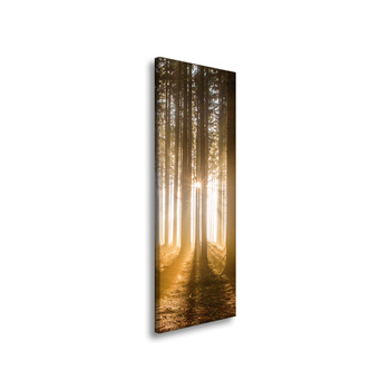Leinwandgemälde Sonne im Wald Baumlicht 40x120 cm