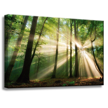 Leinwandgemälde Sonne im Wald Bäume Natur 60x40 cm