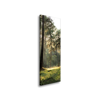 Leinwanddruck Wald Bäume Sonne Natur 40x120 cm