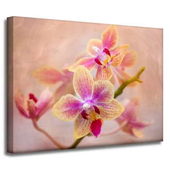 Leinwandgemälde Botanik Orchidee 40x30 cm