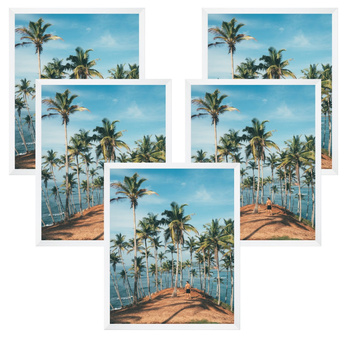 5x weißer Rahmen 50x70, I L13,15,063, Plexiglas